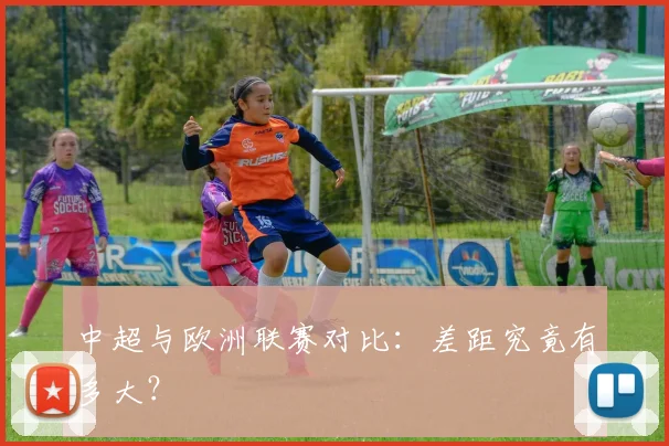 中超与欧洲联赛对比:差距究竟有多大?